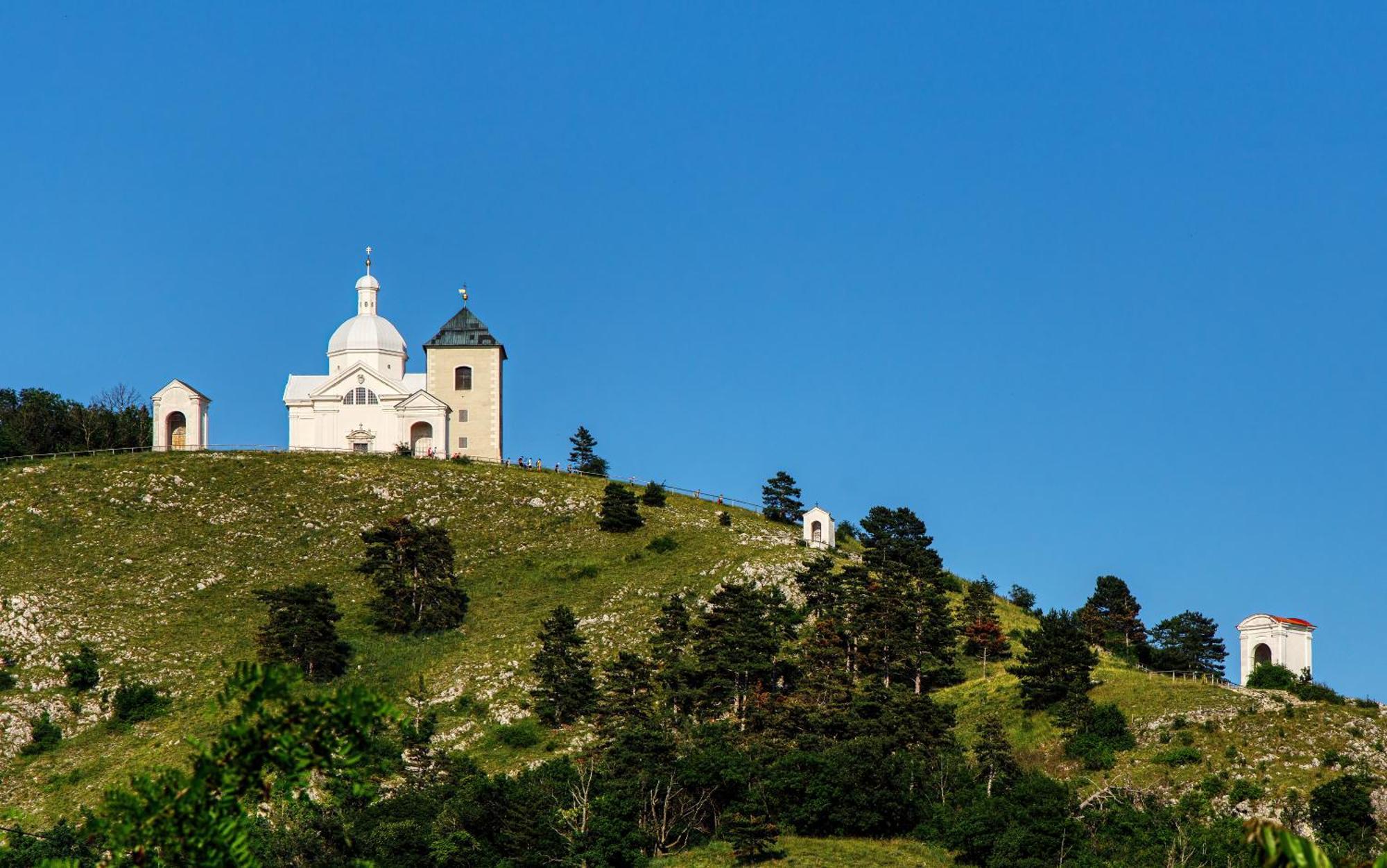 Penzion Terasa Cibulka Mikulov Esterno foto